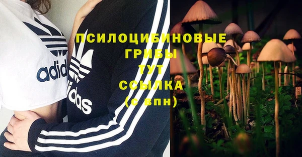 ALPHA-PVP Арсеньев
